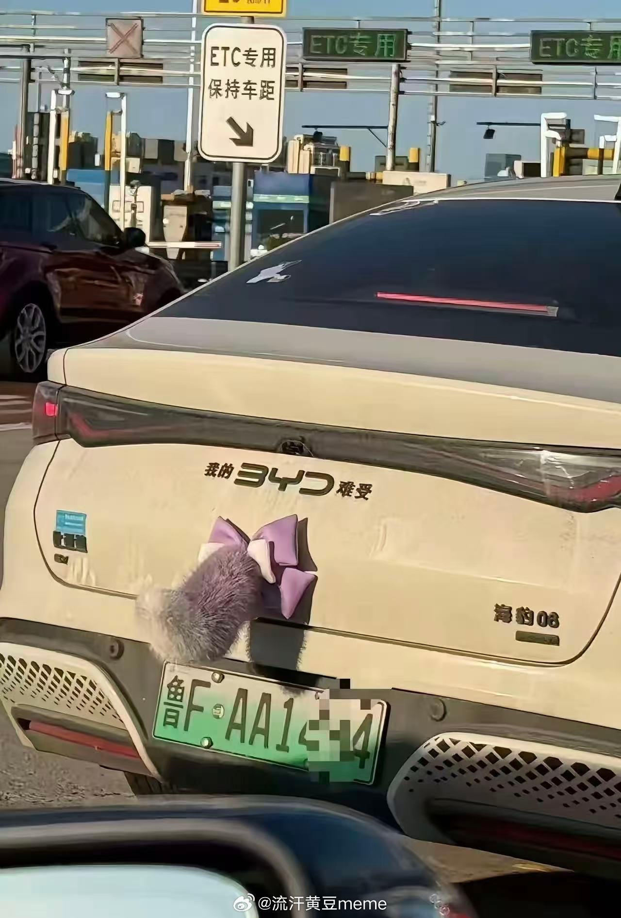 流汗黄豆meme​​​
