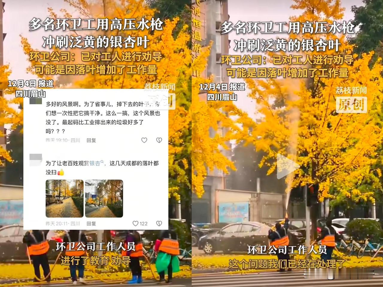 近日一段视频显示在四川眉山文忠街，多名环卫工人手持高压水枪，对着枝头泛黄的银杏叶
