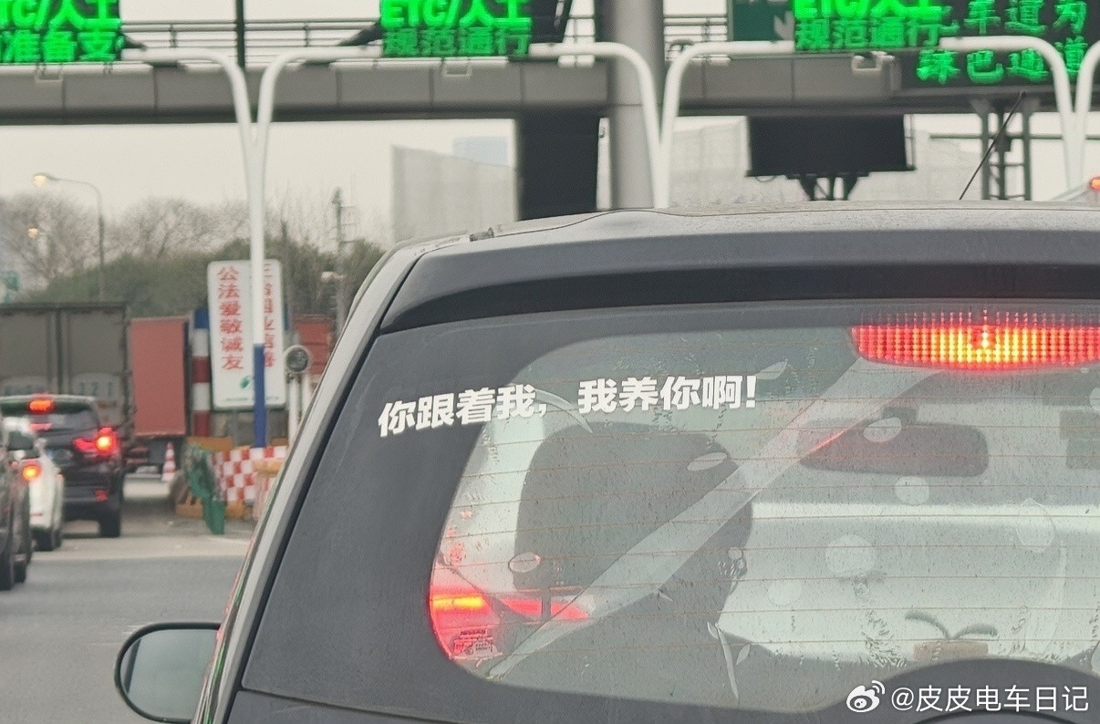 “你先养好你自己吧，傻瓜！”