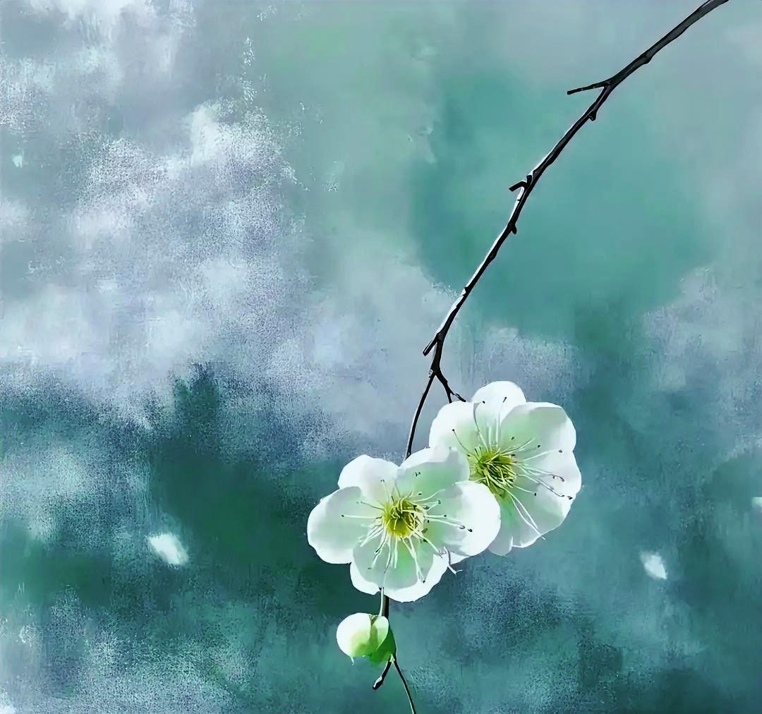 不留念想，各自安好。同事的丈夫因病离世，享年六十三岁，而她今年五十一岁。婆家提