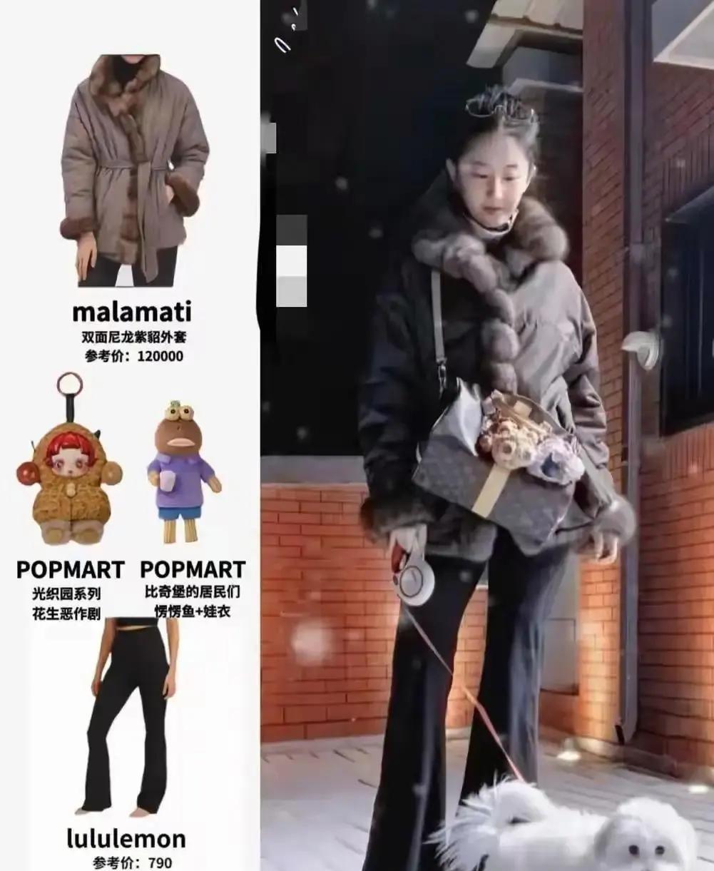 刘亦菲遛狗穿的外套1万2。在鹤岗，这钱能买一平米。有人算账，有人吵架。但没人