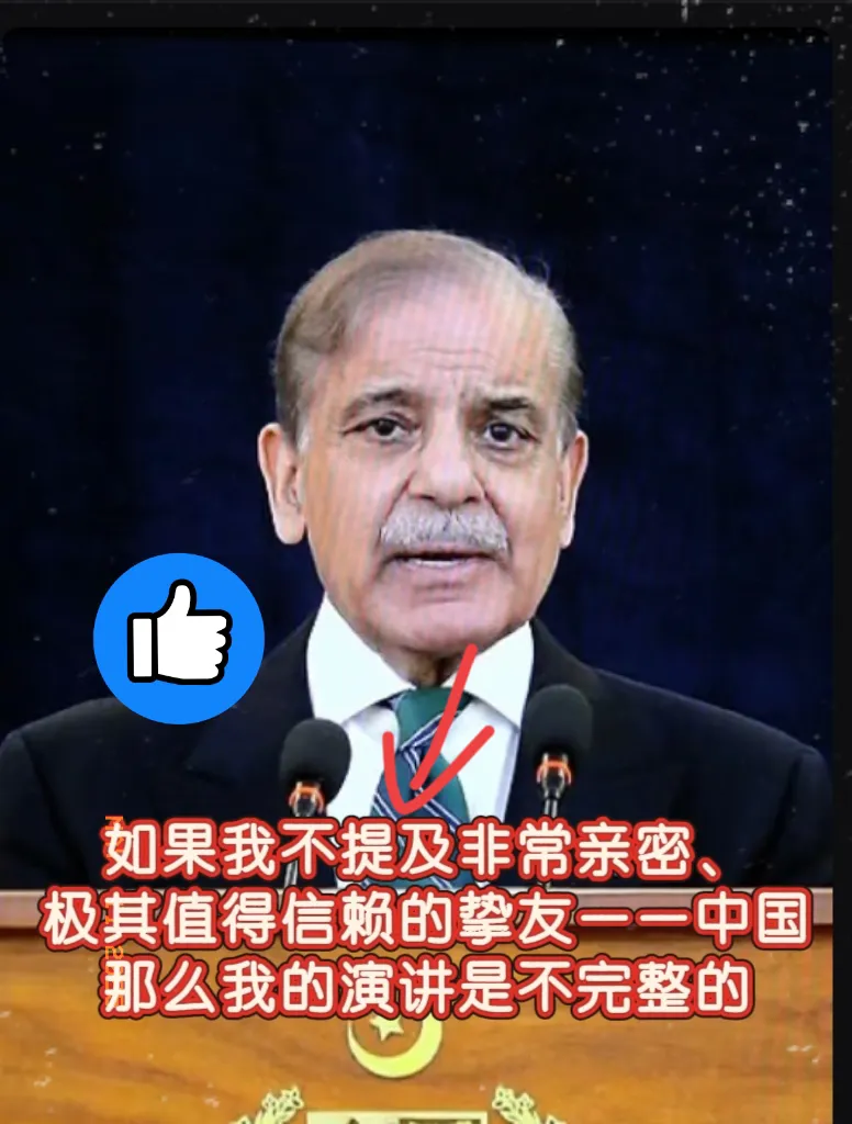 在与印度签署停战协议之后，巴基斯坦总理谢里夫对中国作出了这样的评价：我们取