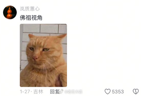 猫“说吧，那天我许的愿几时实现