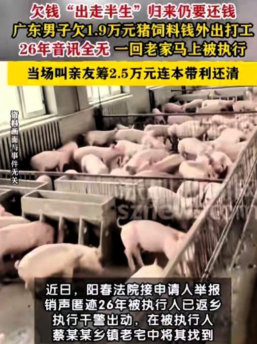 广东阳春的养殖户当年赊走饲料后远走他乡销声匿迹，债主跑断腿也找不到人，打官司赢了