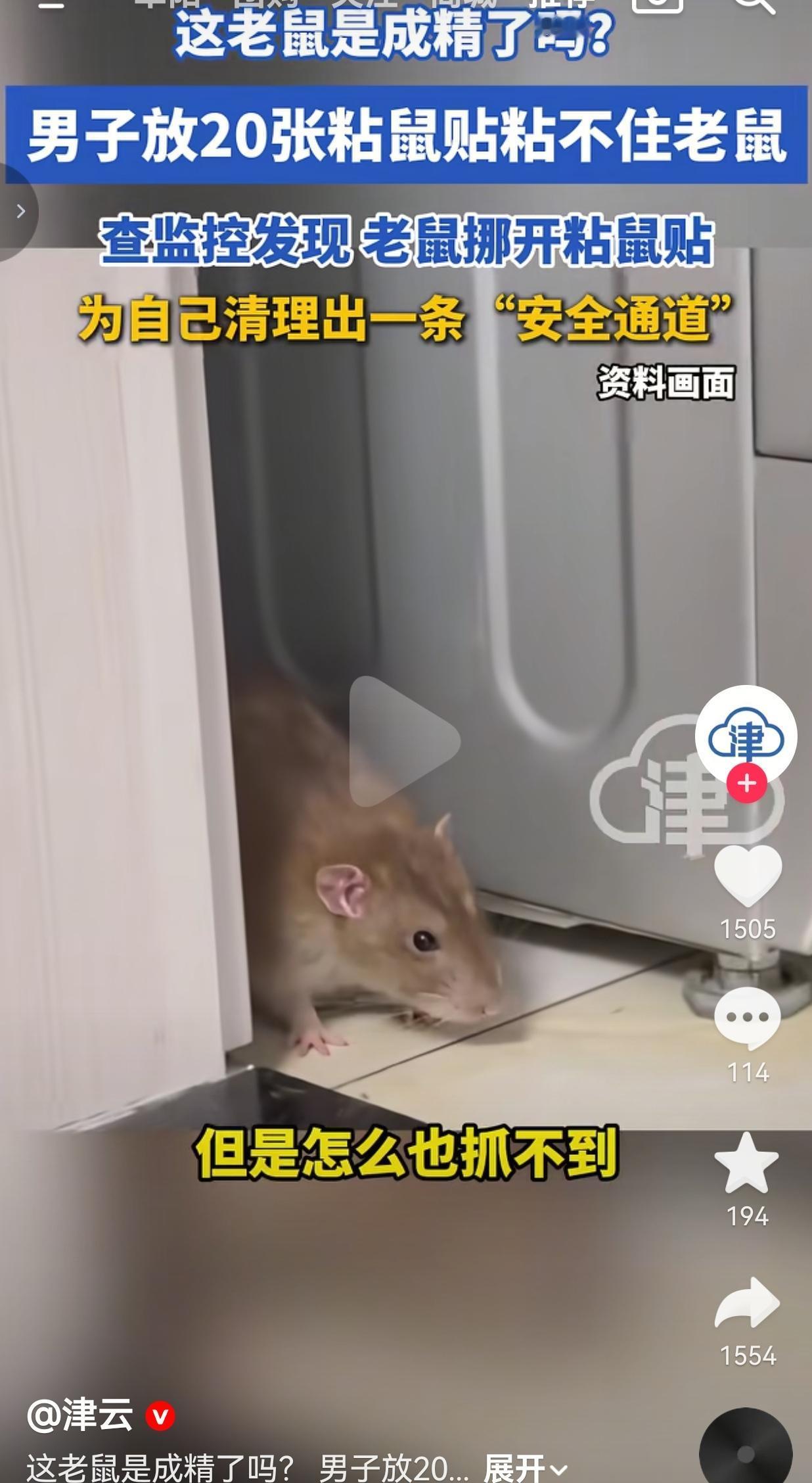 活久见！男子在家放了20张粘鼠贴，本以为能把老鼠一网打尽，结果第二天一看，老鼠没