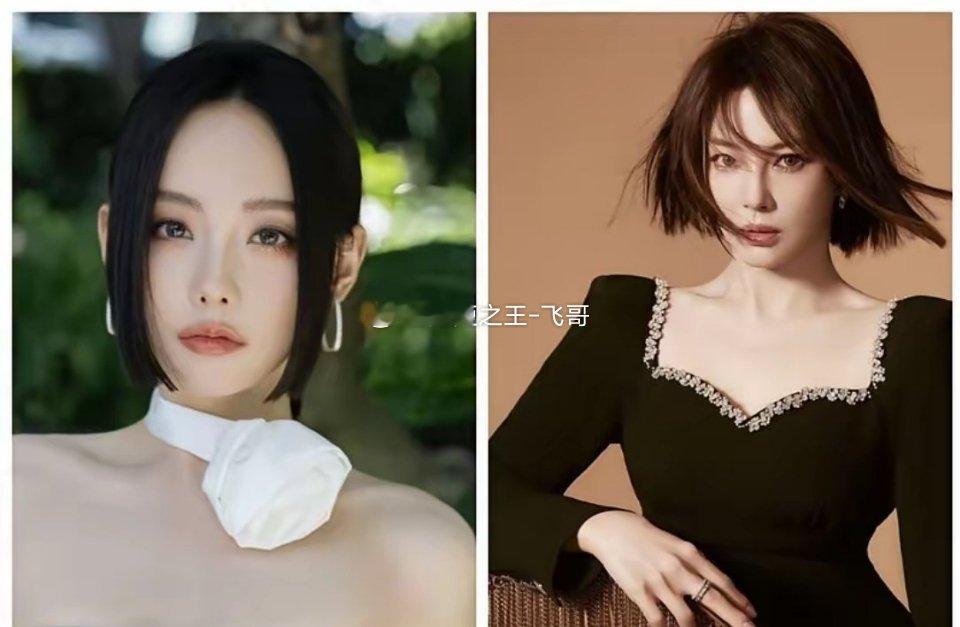 张嘉倪大方回应撞脸热议张嘉倪晒出新图后，不少网友评论说气质撞脸张予曦，她直接在评