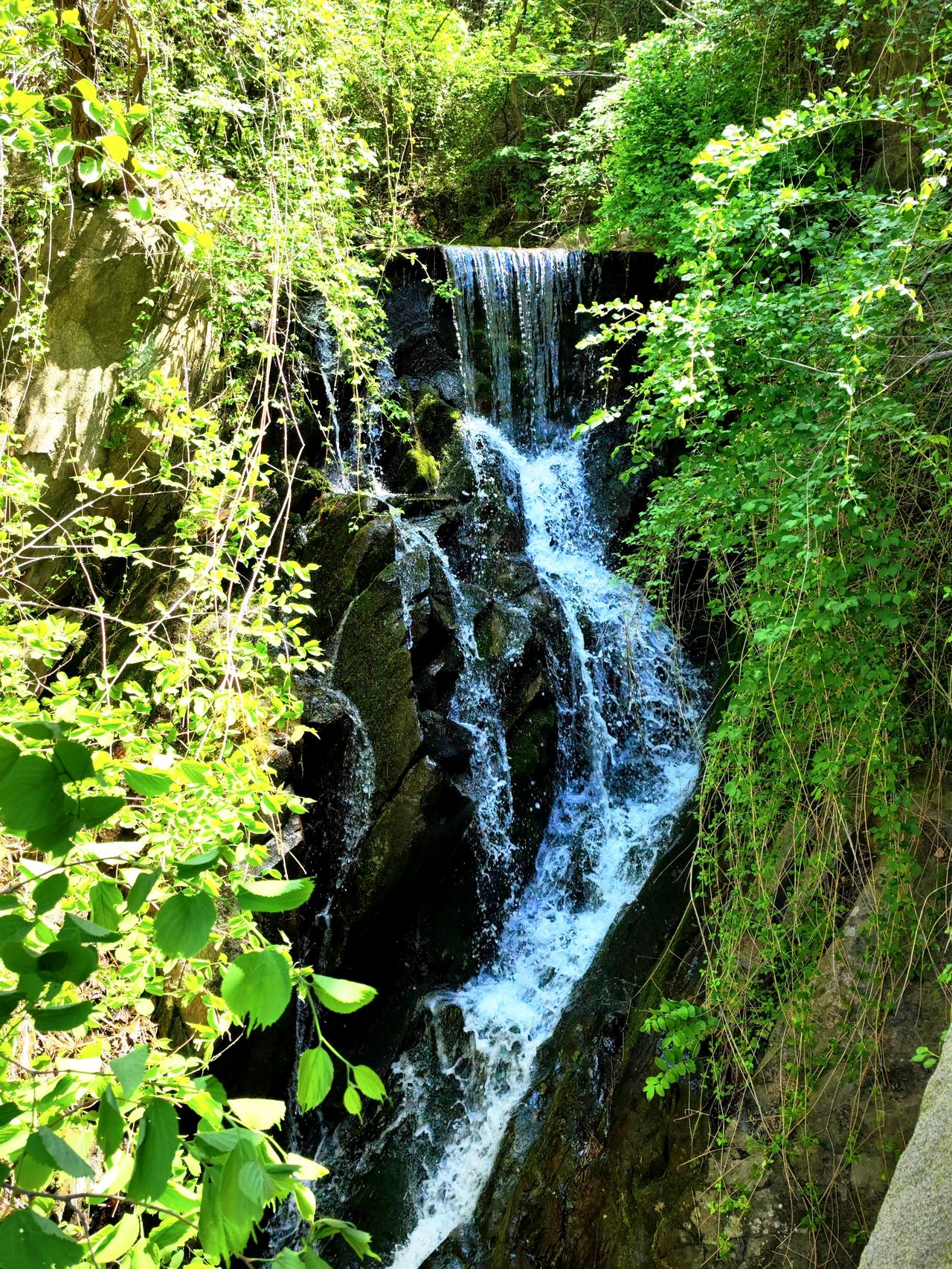 九如山在济南近郊属于第一梯队的自然景区，主打山水、徒步、拍照、慢生活风格。正值