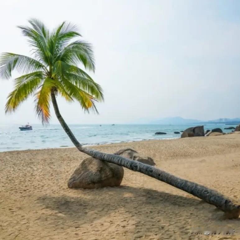 在农村，蛇是真的不能打吗？有一年我三叔家做房子，他家房子盖好后，三叔自己在家