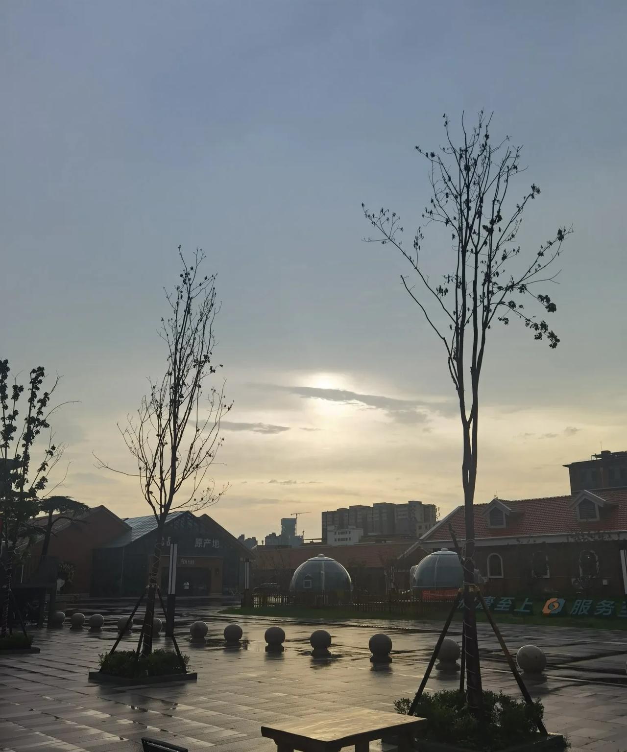 刚又被一个老顾客感动了，老顾客已经九十多岁了，是个阿姨，走路都是亦步亦趋的，必须