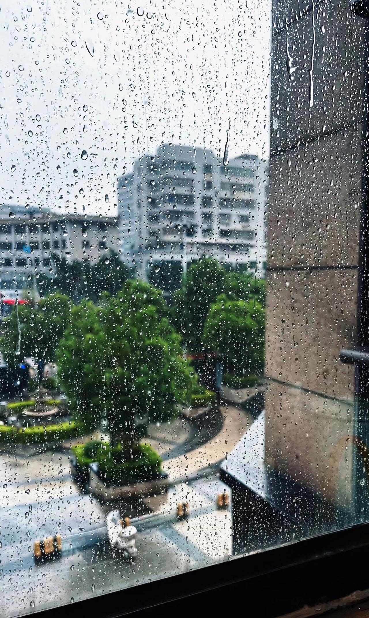 下雨的时候就把生活停了下来下午的时候坐到桌子前面忙碌起来，在心里也想着今天还有