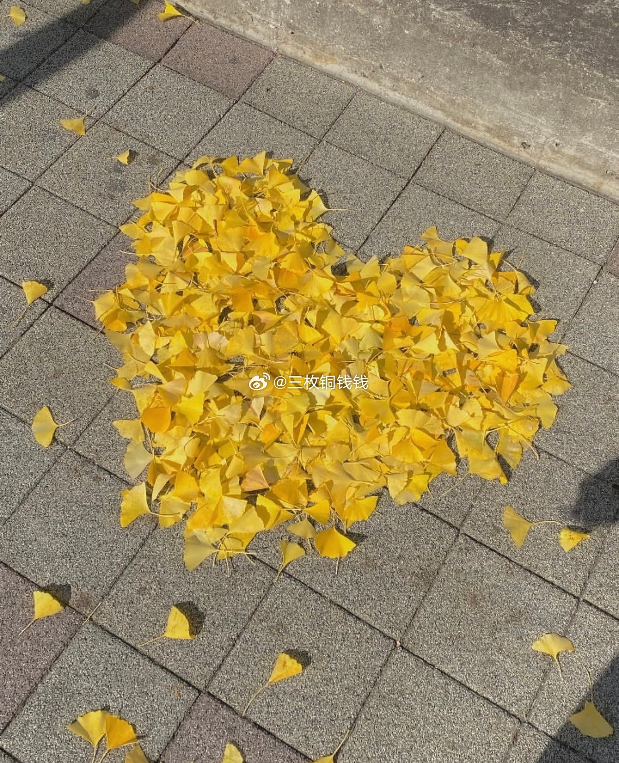 紫微斗数文曲虽然不是主星，但如果化忌则跟哪颗主星搭配都不好，尤其在这个年代，