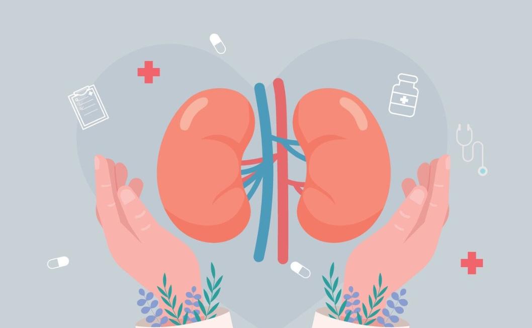 尿毒症，这些行为正在摧毁您的肾肾脏是个“沉默的器官”，它不会喊疼，只会默