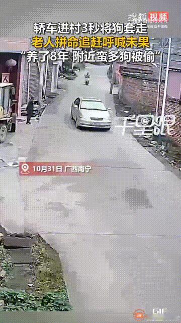广西南宁一位老人刚走出家门口，就看到一辆车开到邻居家门口，然后用钢丝绳套走了小狗