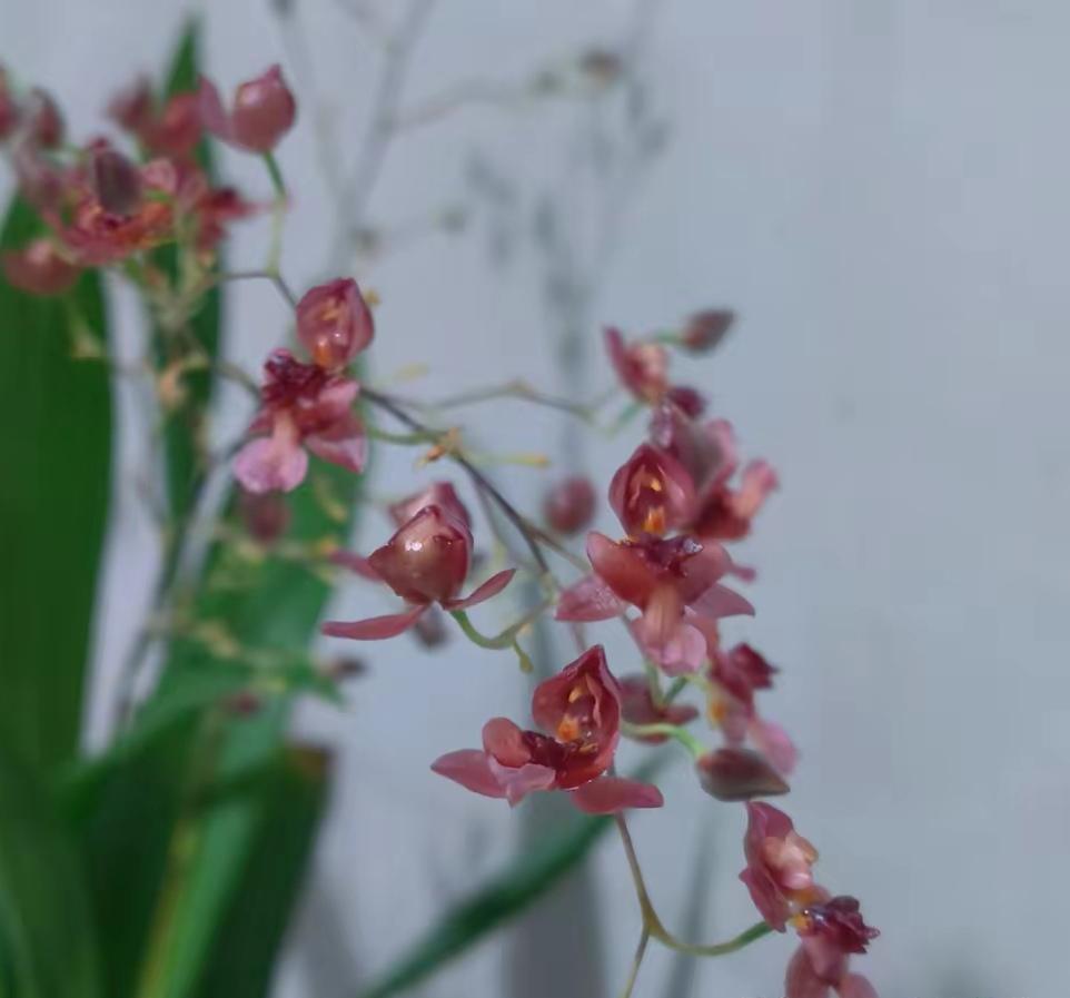 存钱并非就是富有，相反存钱有时就是没有钱的表现。一个年薪100万却无存款的白领和