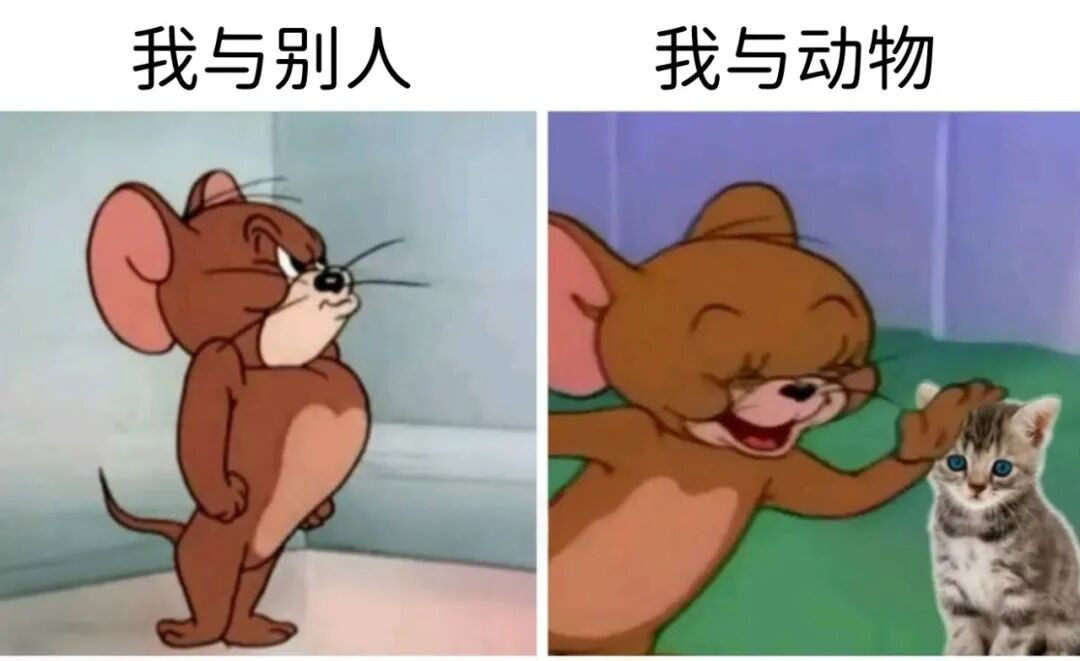🖐​​​