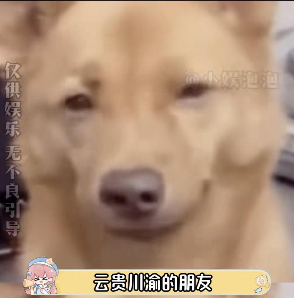 有云贵川的网友闲着无聊，去搜索国家保护植物，忽然惊呆了。认真算起来，很多八零、