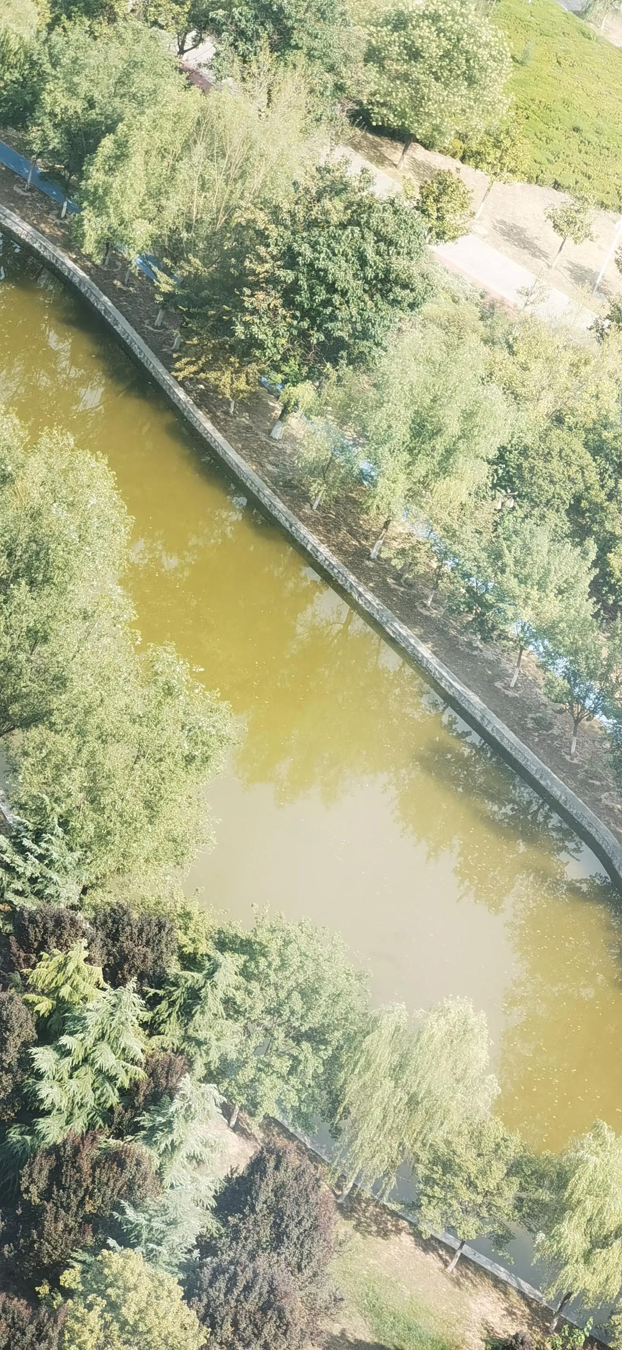 心情愉悦是大补，情绪低落是大伤，可是方子有，药难抓，凡是能让你快乐的，