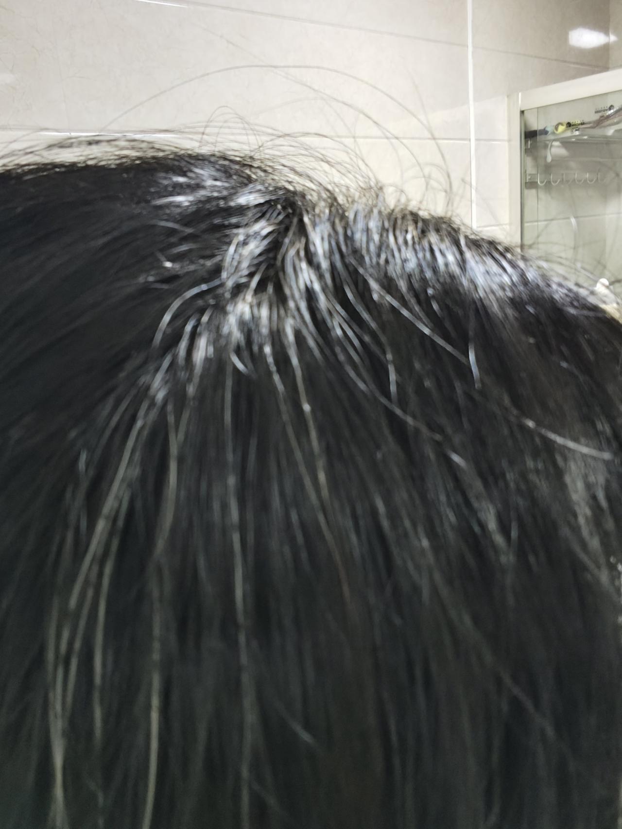 我的白头发越来越多了。不仔细看，还看不出来，用手扒拉一下它就跑出来了。其