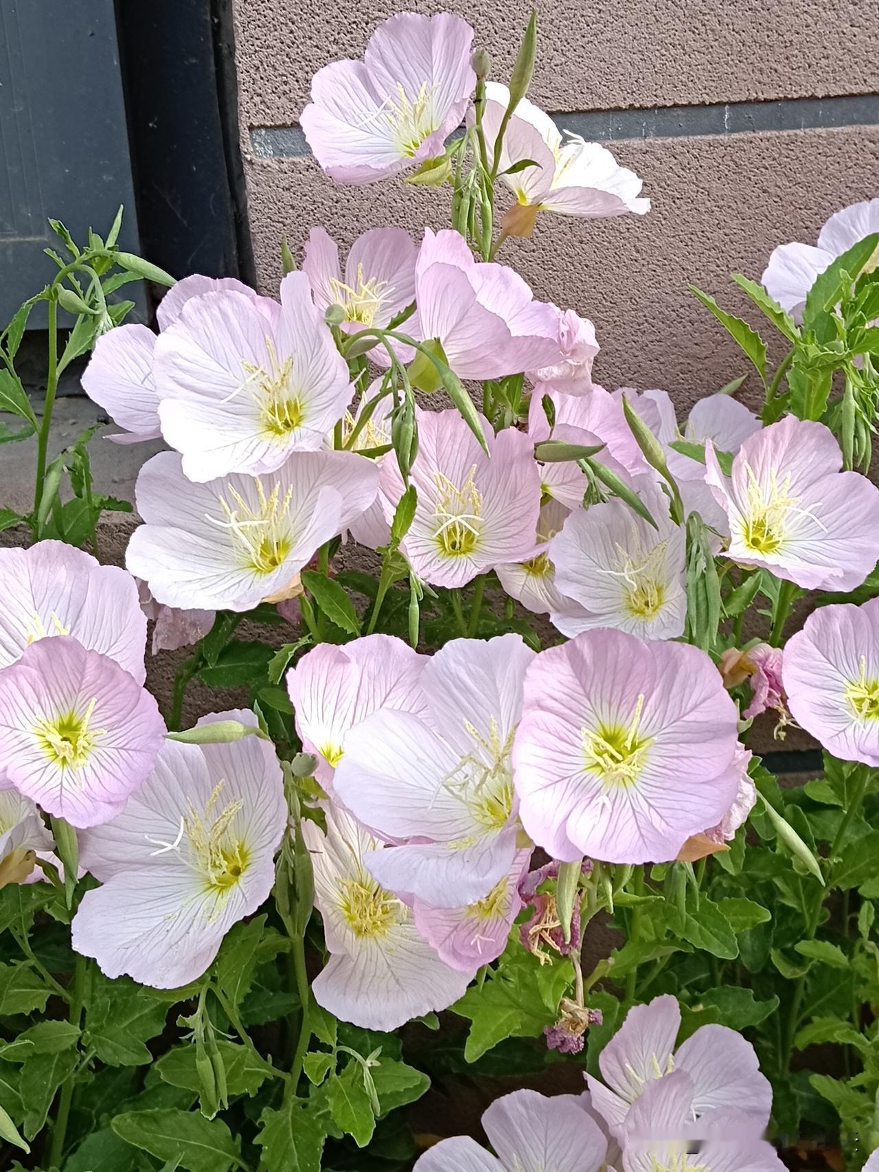 老了以后不能‘糊涂’的10件事❶不要拿养老的钱去创业。❷干活不能逞强，累倒