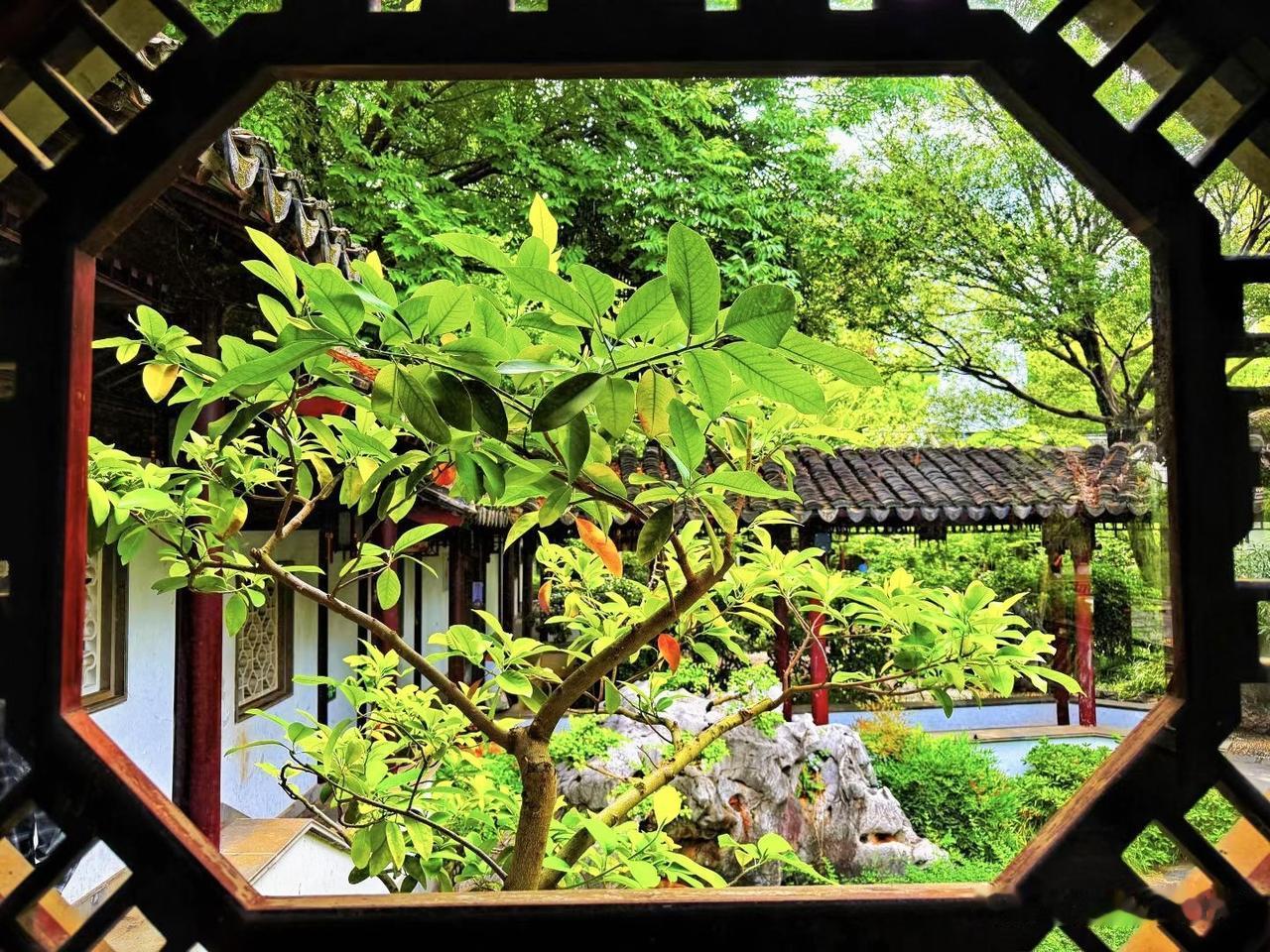 风景这边独好！南京小众景点∽瞻园，金陵第一园。瞻园位于秦淮区瞻园路128号，