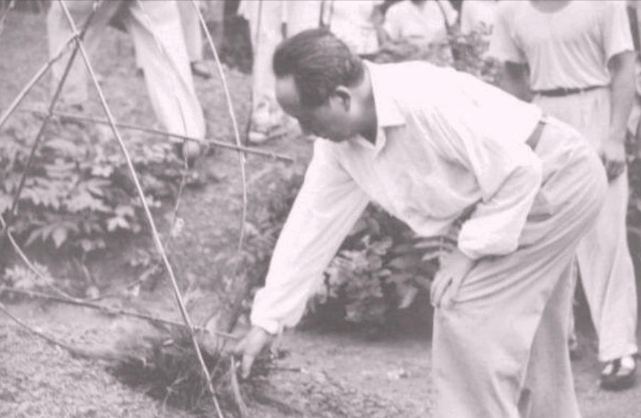 1959年，时隔多年，伟人返回了韶山冲探亲。来到父母墓前，他深深三鞠躬，望见：“