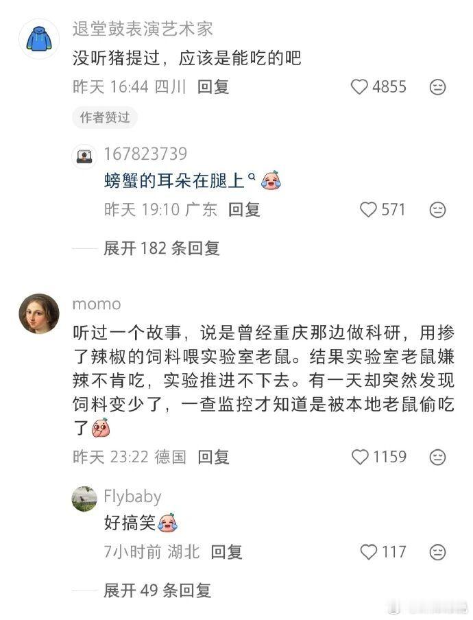 猪能吃得了辣吗