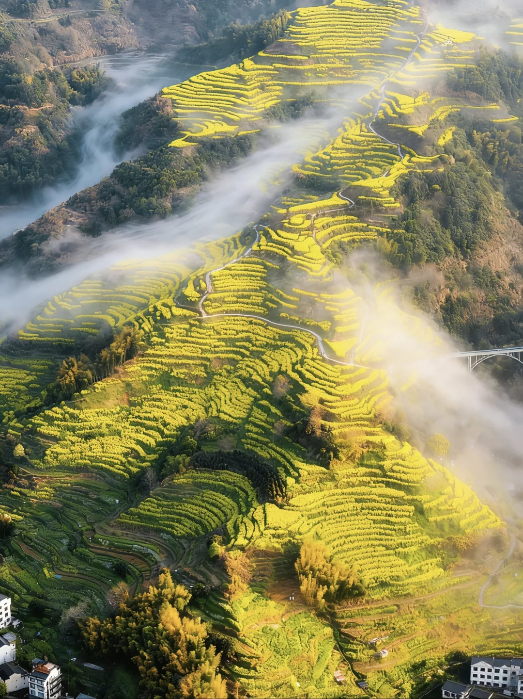迄今为止，我最喜欢的春日小城出现了‼️