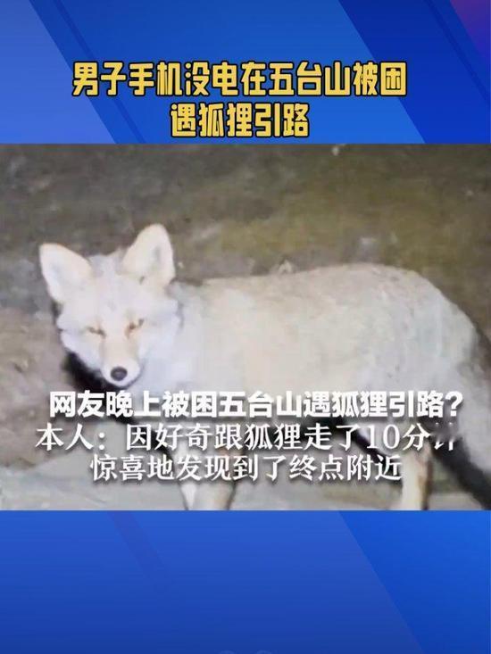五台山夜途遇狐引路？这则奇遇让无数人直呼神奇。10月3日，徒步者陈先生的遭遇刷爆