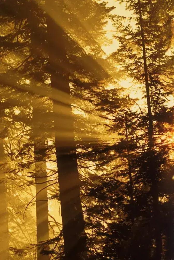 刷到一条足浴店小姐姐的吐槽，说干了三年，被摸手、搂腰、言语挑逗加起来十几次，最离