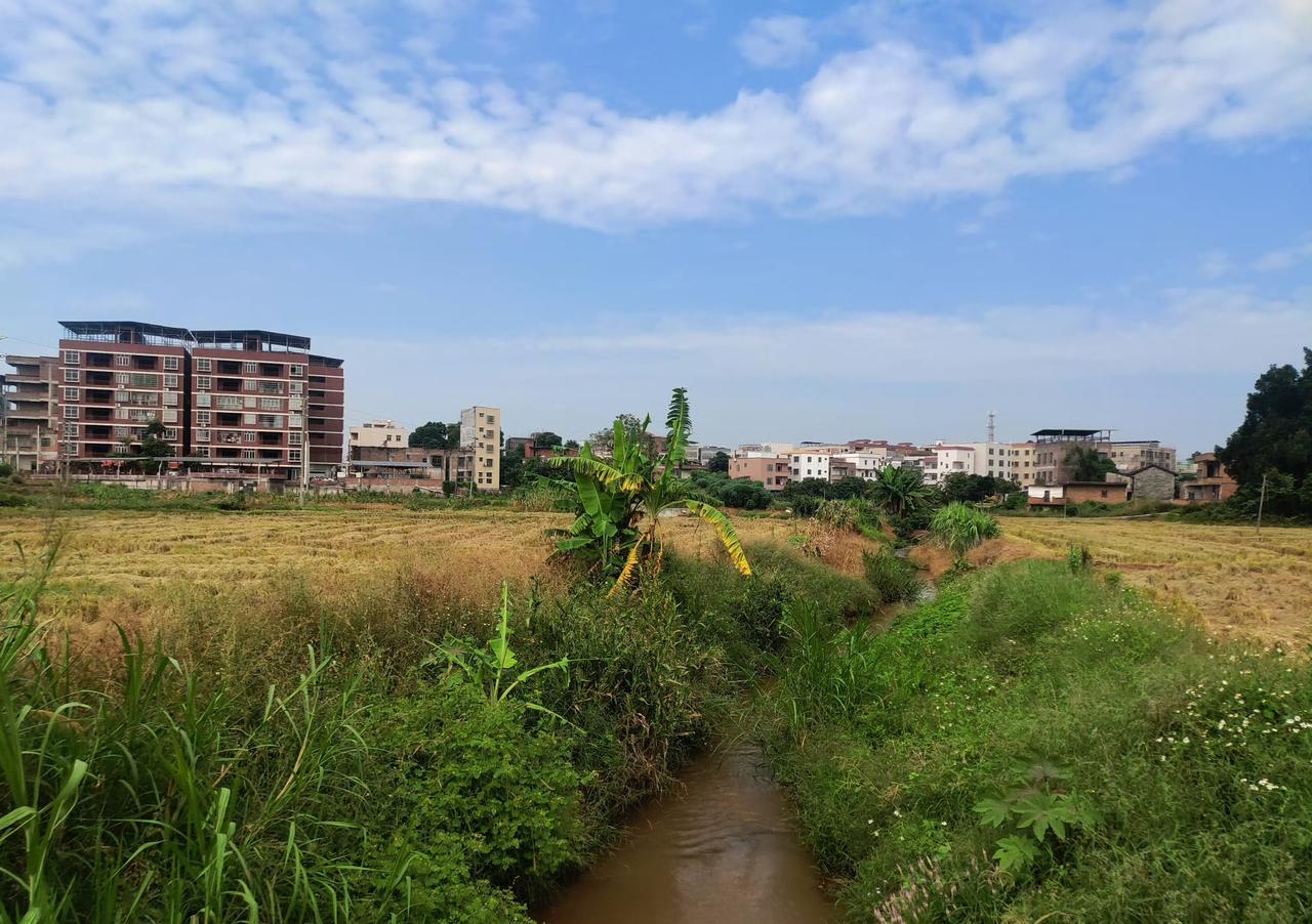 今日运势：乙巳年丙戌月癸酉日2025.10.31日鼠：工作取得收获牛：