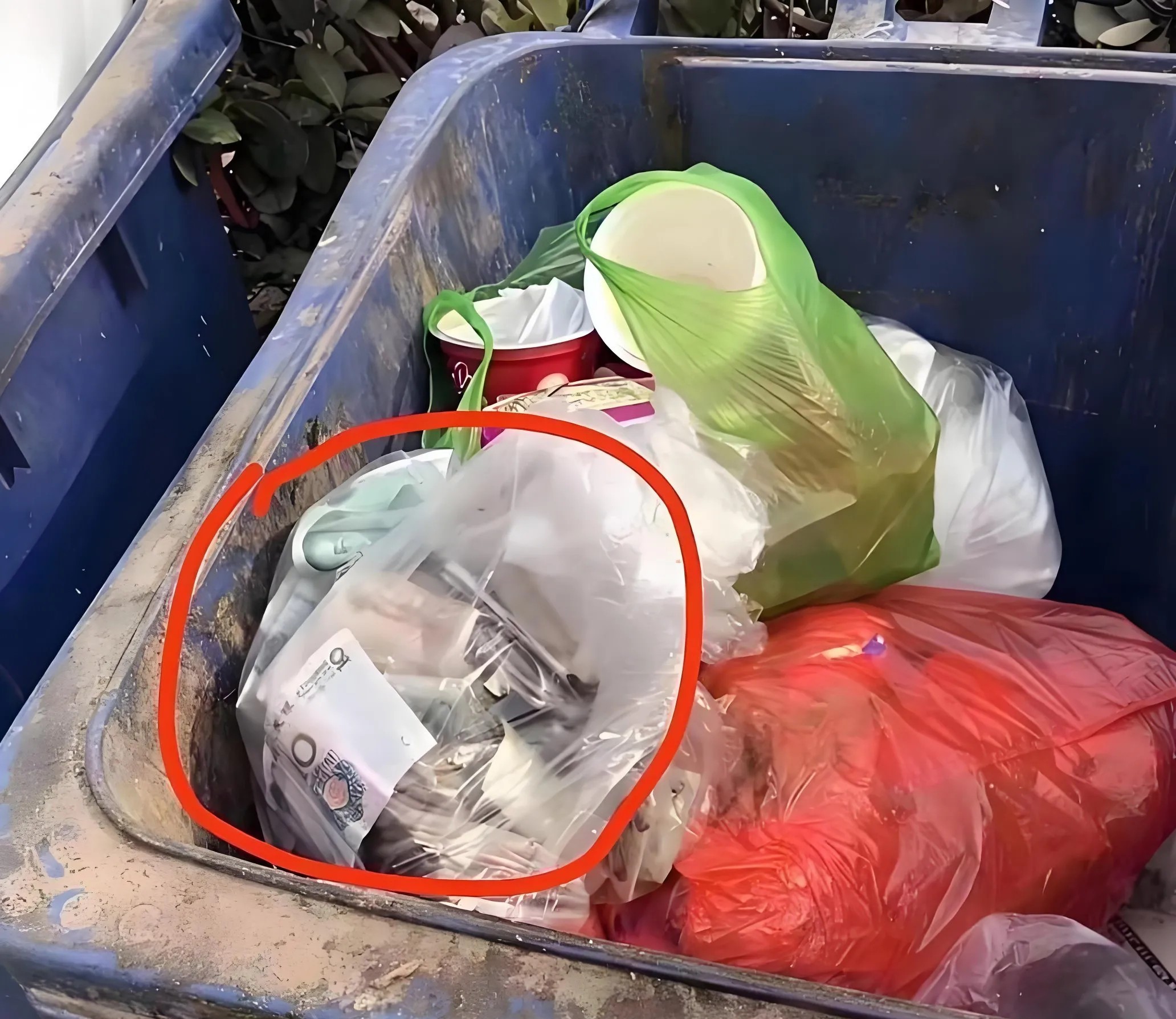 下楼扔垃圾竟然有奇迹发生，真是又惊又喜！谁家把钱当垃圾扔了，我捡到是不是算是我的