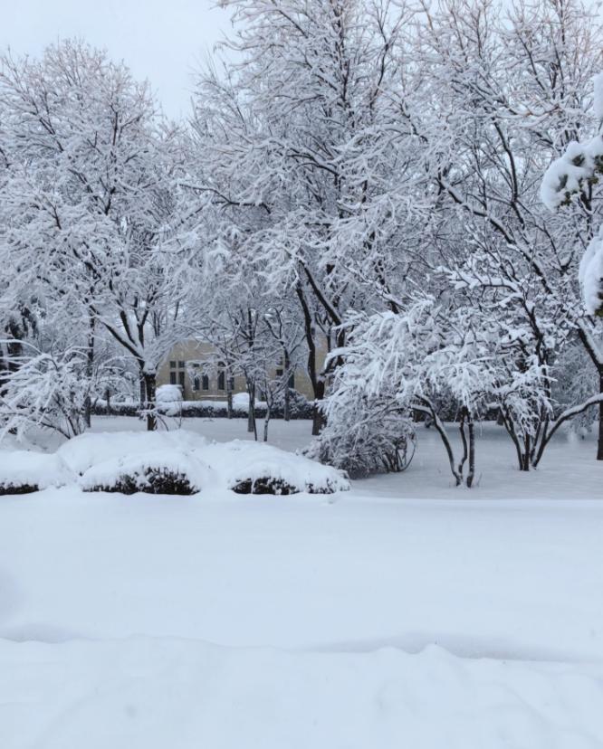 这次寒潮，重点已经不是降温了。真正要命的，是马上要砸向湖南、贵州、重庆的冻雨。