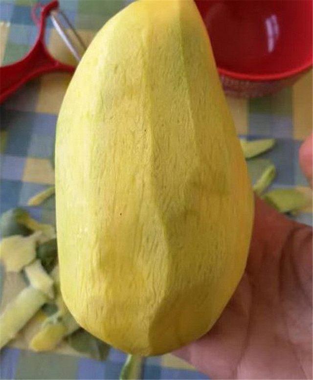 一种可以生吃的芒果! 大家都知道吗?