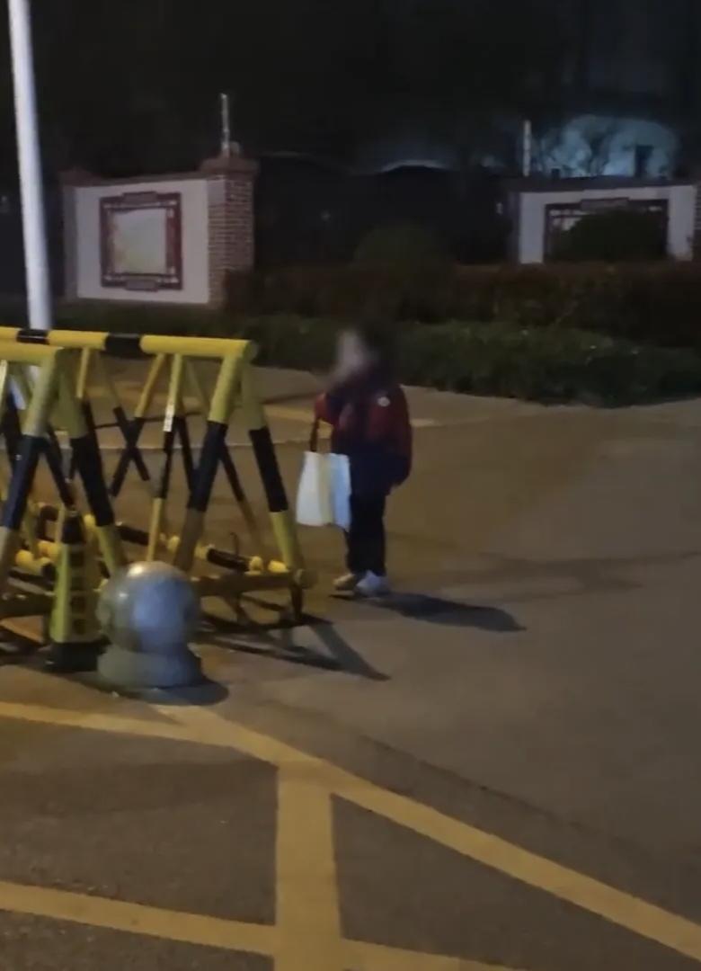 2026年3月30日凌晨3时许，河南洛阳市民常先生外出遛狗时，发现一名小学生独自