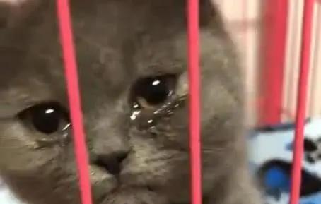 姐姐小姑子得了白血病，39岁。化疗一次，化了一万二千多块钱。之后病情稳定，能吃能