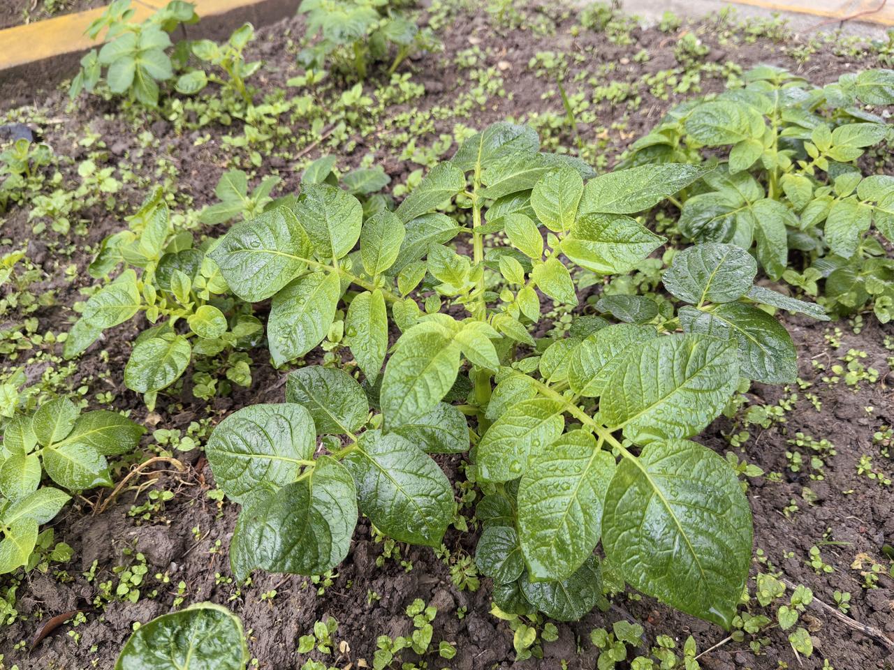 这世上真有恶婆婆，女生一定要心智成熟一点再谈恋爱。有一个女生，二十出头的时候