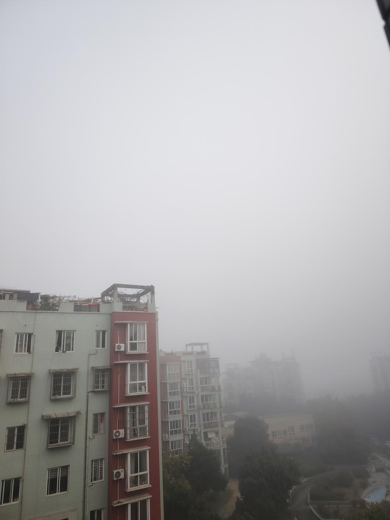 【老人言VS体感温度：今年冬天到底冷不冷？】立冬已过，寒未至。11月13日，气