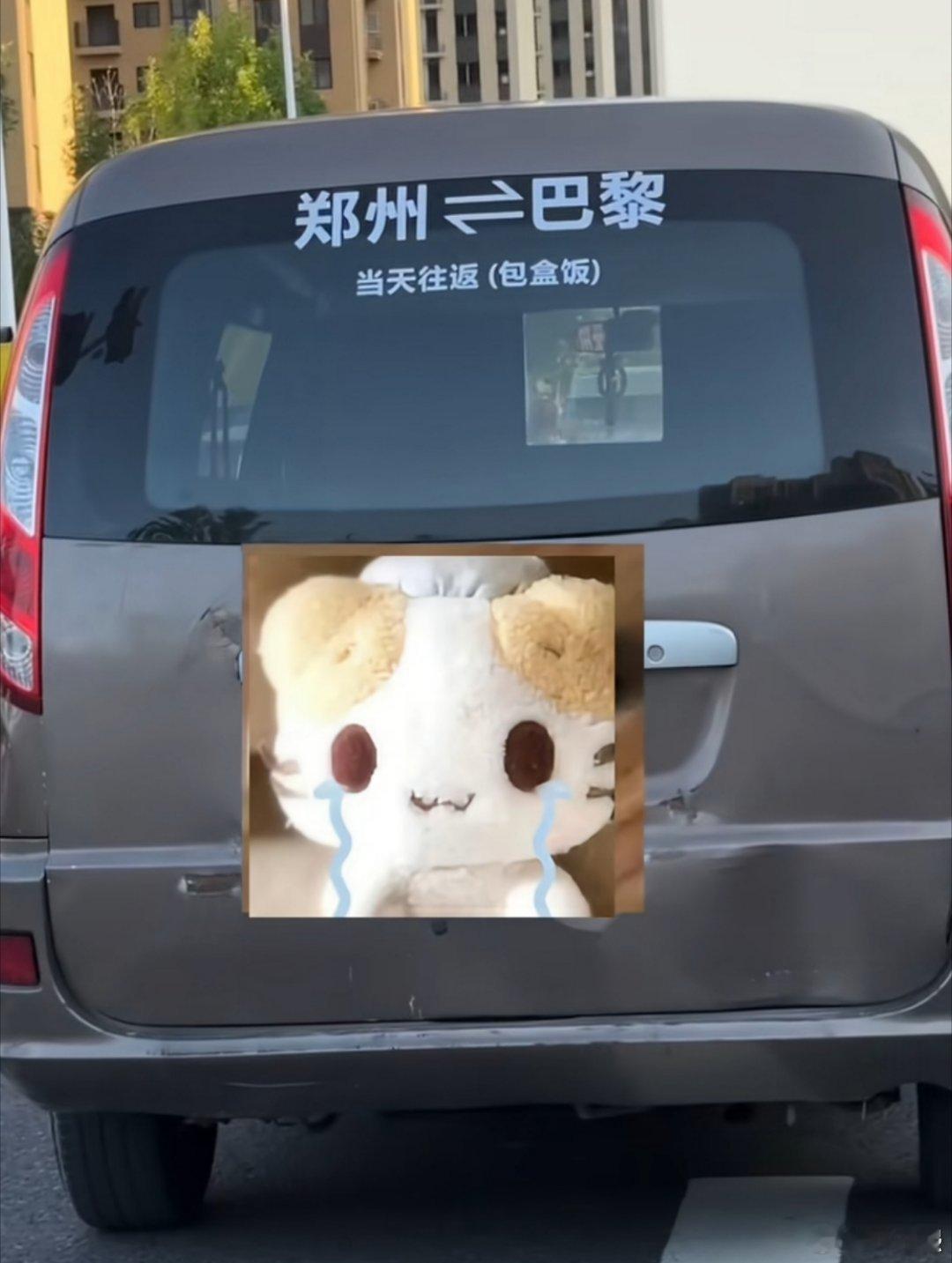 郑州还是太全面了[doge]​​​