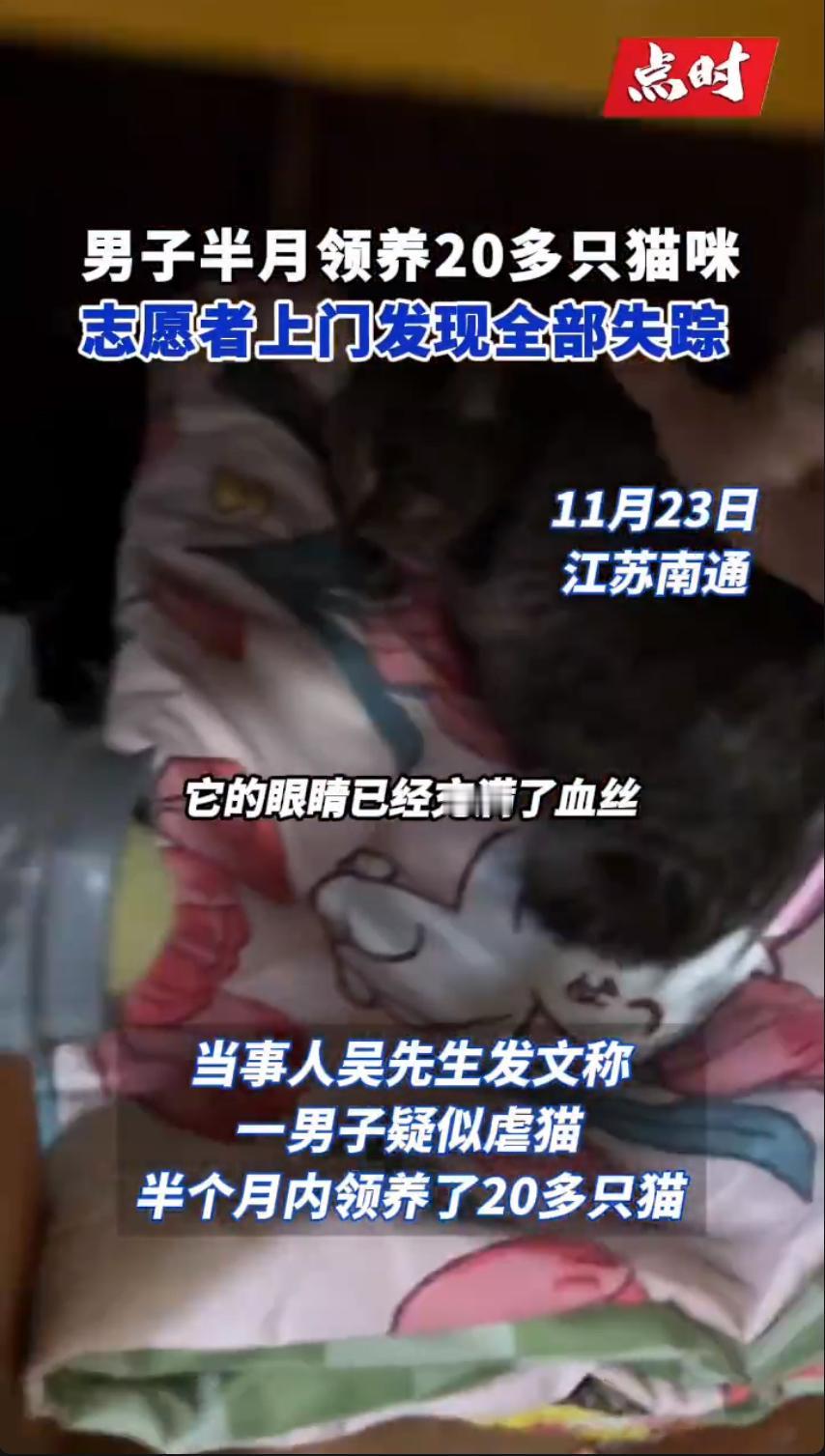 江苏南通发生了一件让爱猫人士气愤又心疼的事，一位姓吴的先生最近曝光了一名疑似虐猫