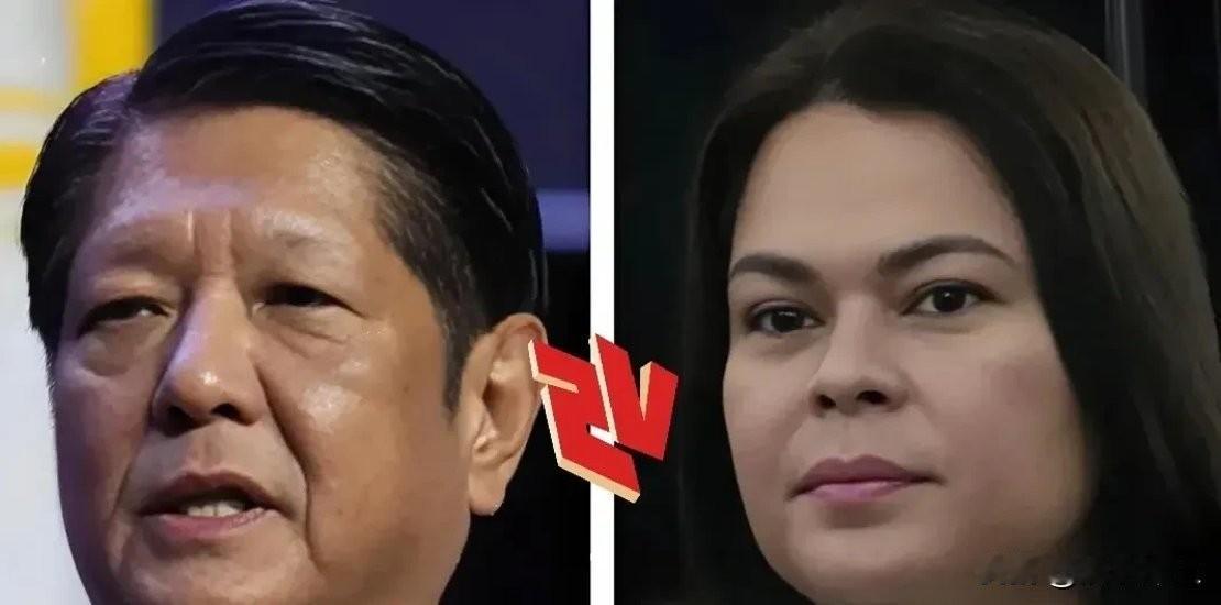 菲参院大楼突然枪声大作，国家调查局特工进场抓人（前警察总长德拉罗萨），魔幻的是，