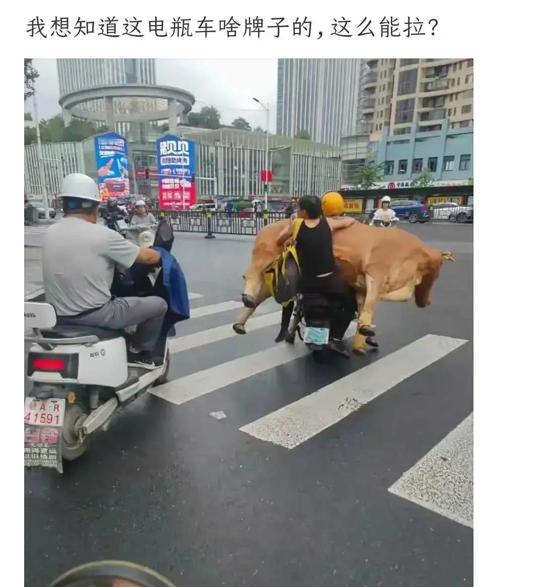 不知道这是什么牌子的电车这么能拉。