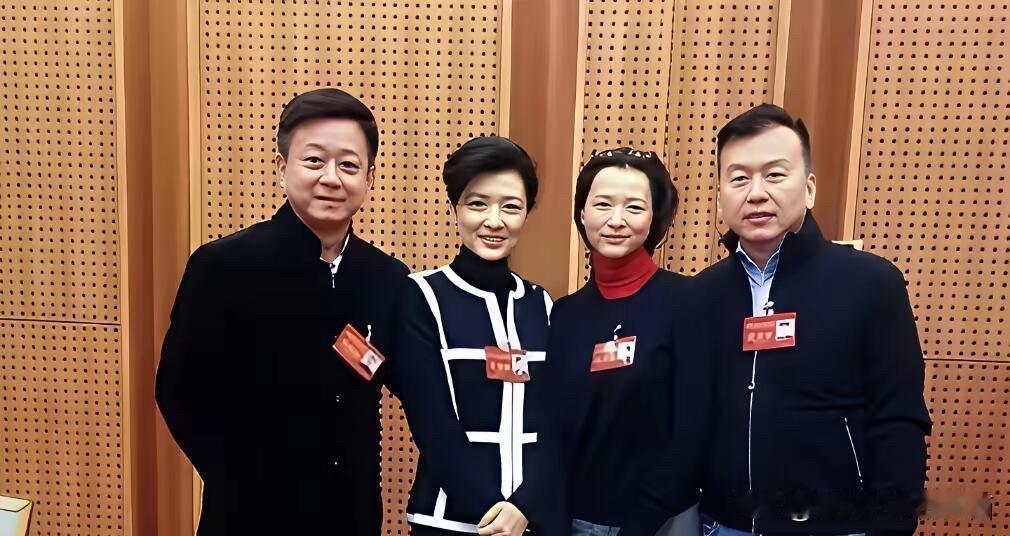 这四位是央视有才华的主持人，男的风度翩翩，女的气质大方，都是才貌双全的著名主持人