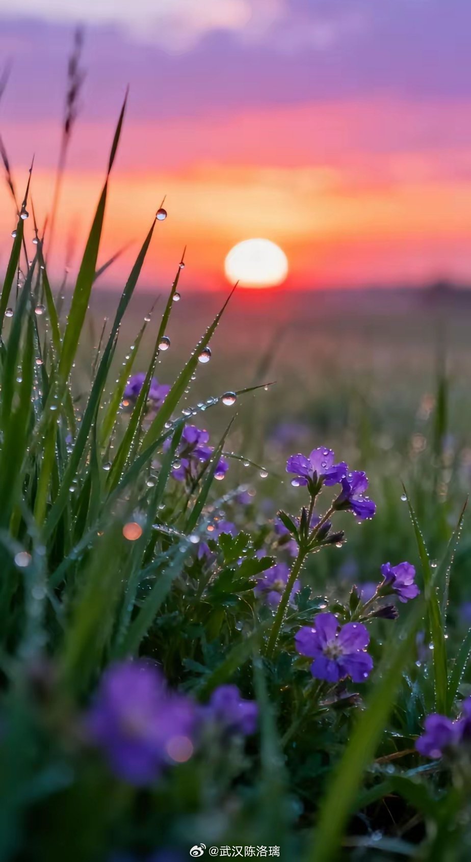 最好的天然养生，就这6件事1. 睡好觉不熬夜、不焦虑，2. 心放宽少生气、少计较