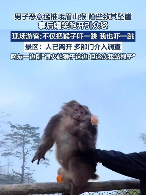善待生灵，莫让恶意伤害打破人与自然的平衡人类应该和野生动物和谐相处。人们都