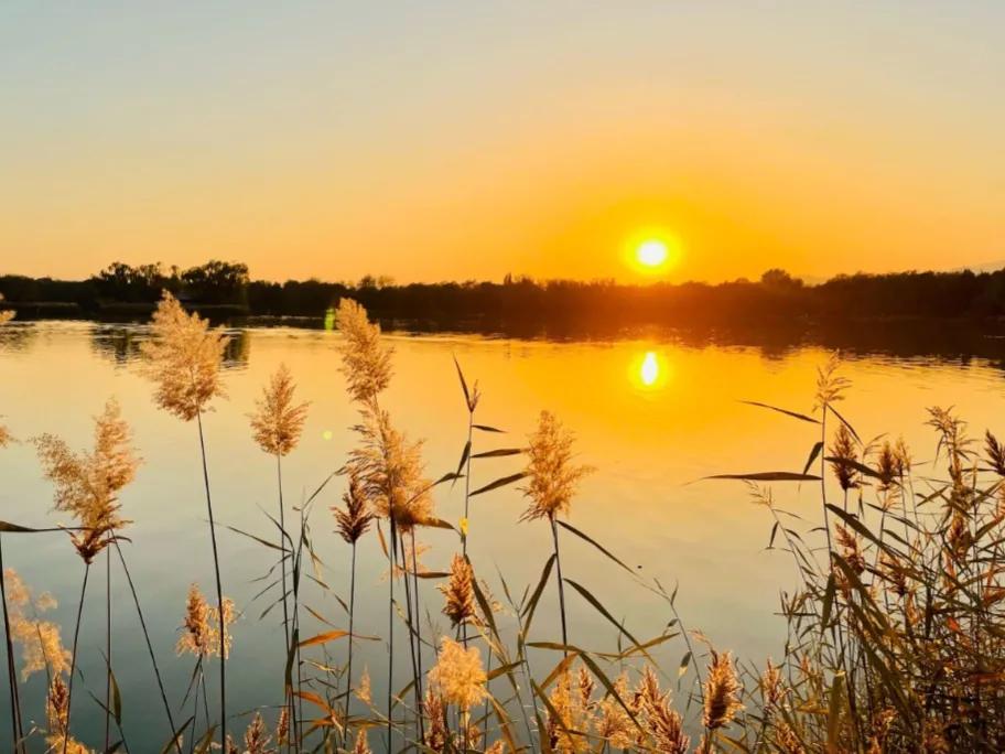 傍晚时分，我偶然定格下一场惊艳的落日。天边层层云霞被夕阳染成橘红与鎏金，柔和的光
