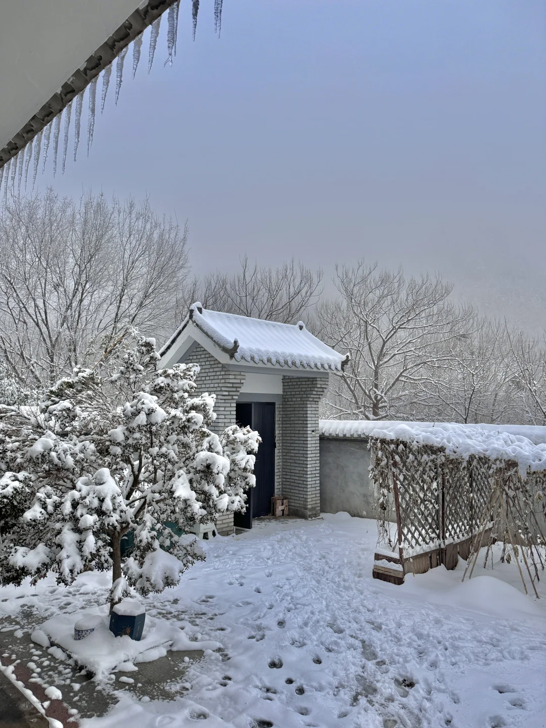 黄帝内经：女子在家静养是大补（大雪🌨️藏神）