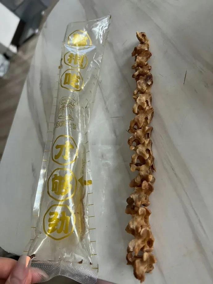 弟弟的嘴适合考古把化石啃出来了