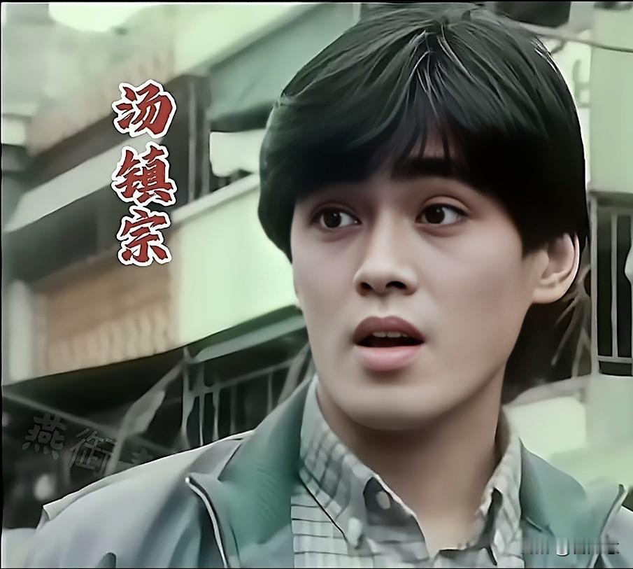 汤镇宗、汤镇业、郑少秋、狄龙、吕良伟和赵文瑄，这几位简直是“神仙颜值”集合！汤
