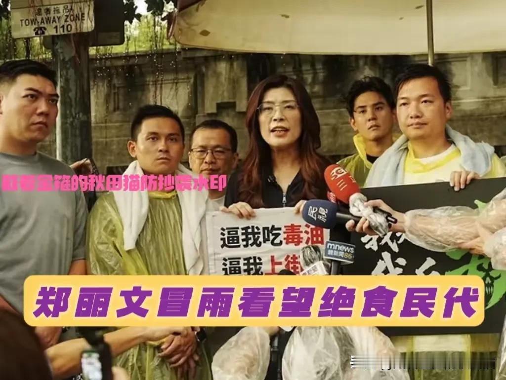 在凯道已绝食静坐两天的四位年轻人，冒着高温、淋着大雨，他们引发了岛内哪些人的关注