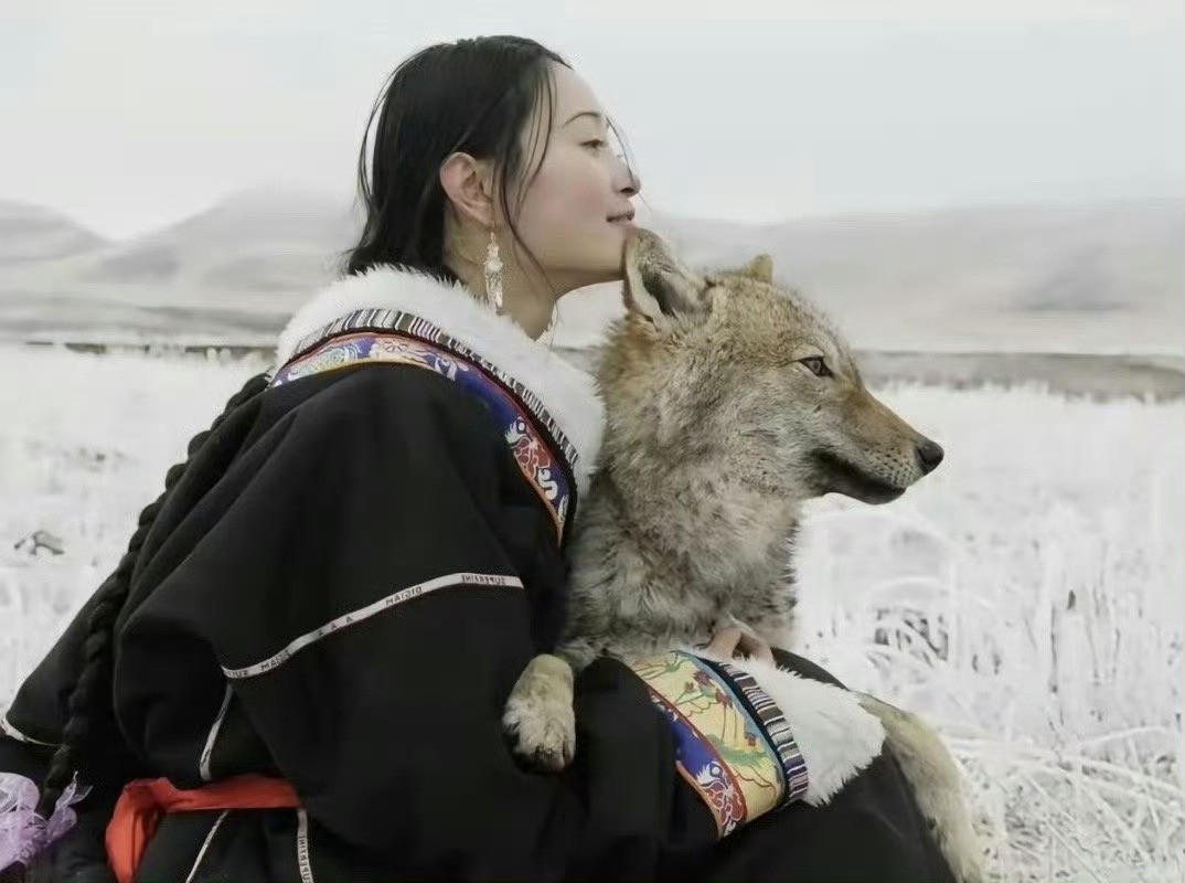 李微漪的故事太好哭了她和格林的故事真的很感人